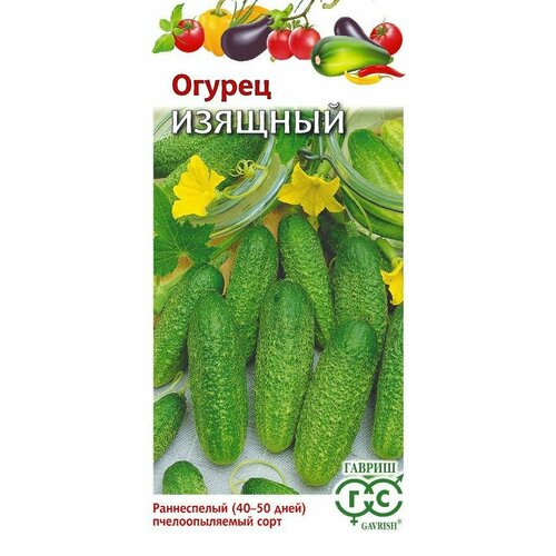 ������ ������ ������ ������ ������� 0,5� �� ������ (������) ����