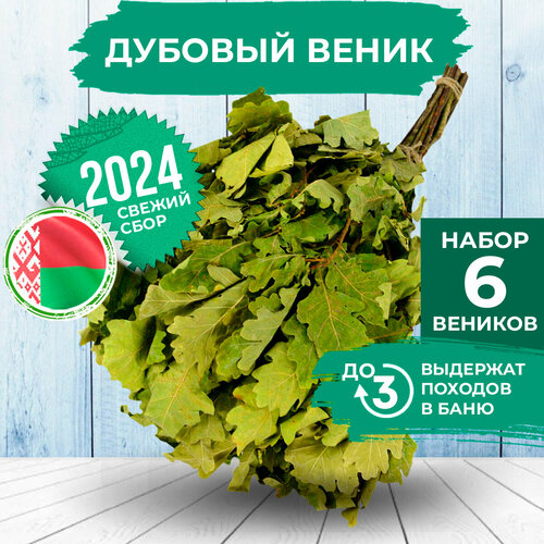 ������ ������ ����� ��� ���� ������� ����� 6 �� ����