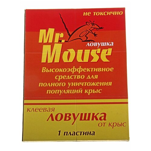       Mr.Mouse,  , 1 