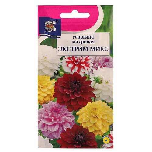 ������ ������ ������ ������ ����� �������� �������� ����� �������, 0,2 �� ����