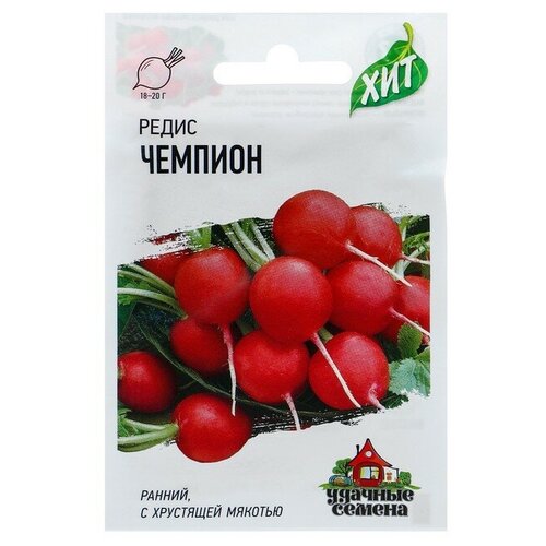 ������ ������ ������ ����� 