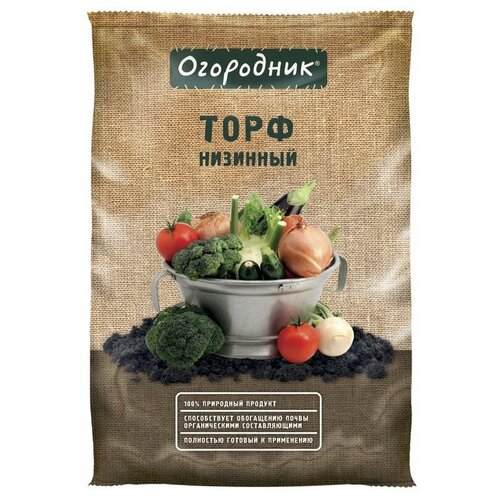 ������ ������ ���� ����� �������� 9 � ����