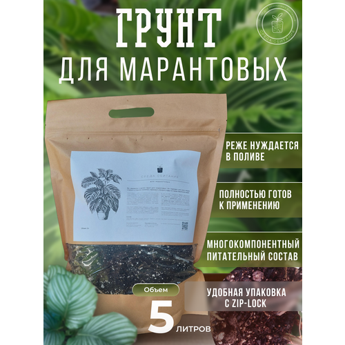 ������ ������ ����� 