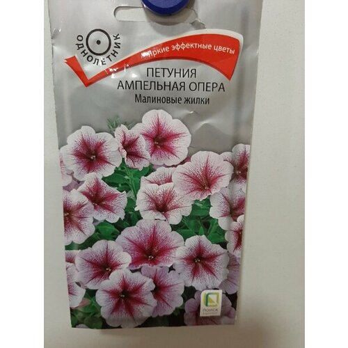 ������ ������ ������ ������� ����� ��������� ����� ��������� 5�� ��� 100�� (�����) ����