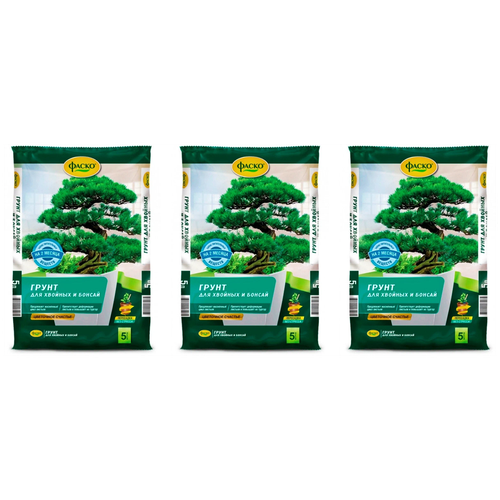 ������ ������ ����� ����� ��������� ������� ��� ������� � ������, 5 �, 2.3 ��, 3 ��. ����