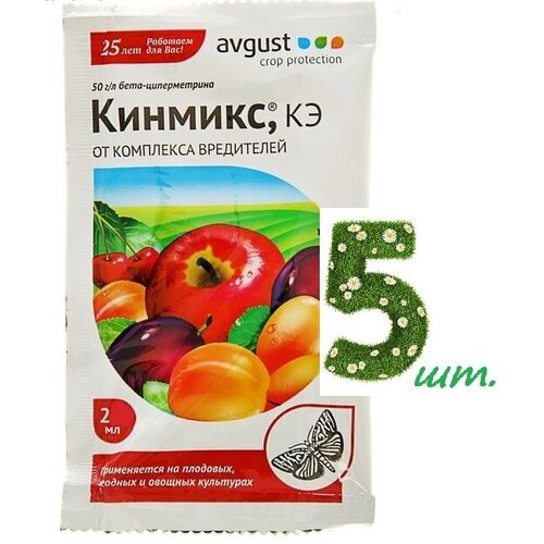 ������ ������ Avgust �������� �� ��������� ���������� �������, 2 �� avgust 5 ��. ����