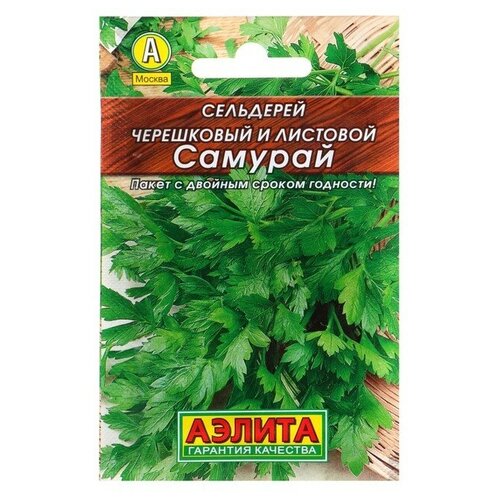 ������ ������ ������ ��������� �������� 