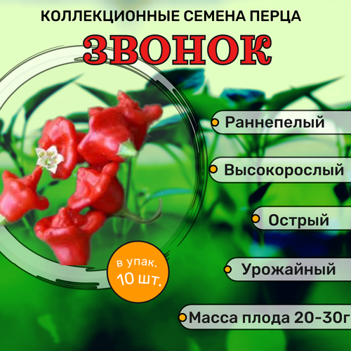 ������ ������ ������������� ������ ����� ������� ������ ����