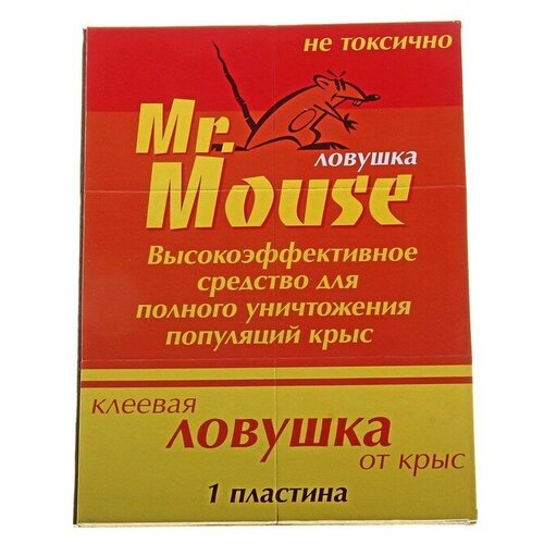     MR. MOUSE      /50./  : 2 