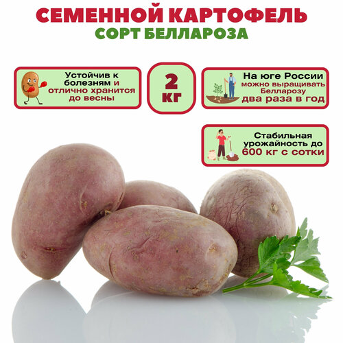 ������ ������ ��������� 