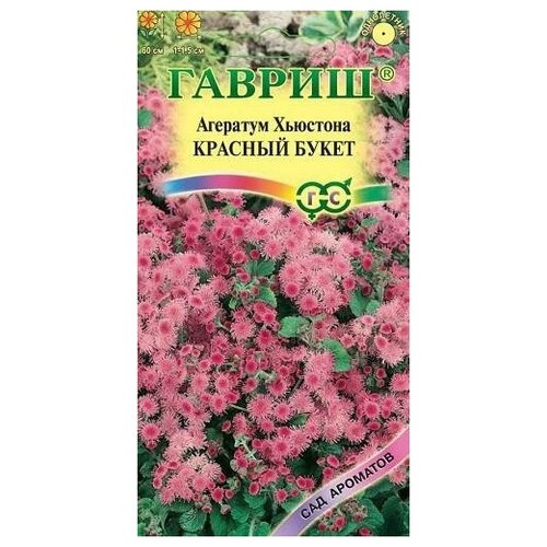 ������ ������ ������. �������� 