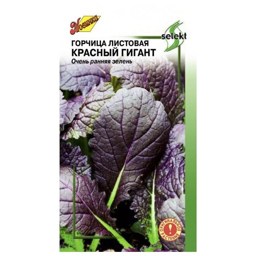 ������ ������ ������� �������� ������� ������, 200 ����� ����