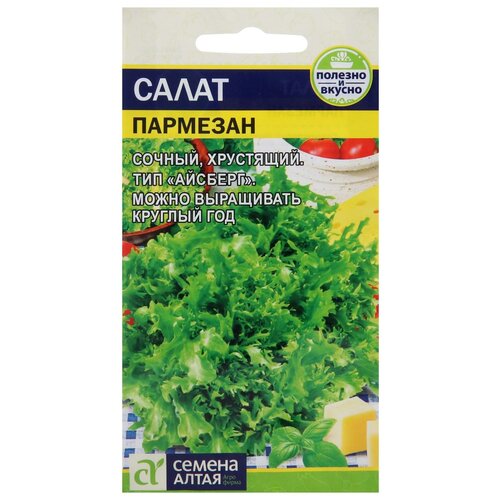 ������ ������ ������ ����� 