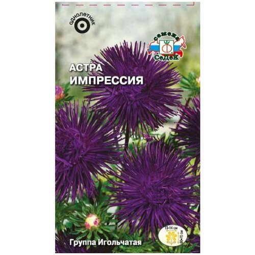 ������ ������ ������ ����� ��������� ����