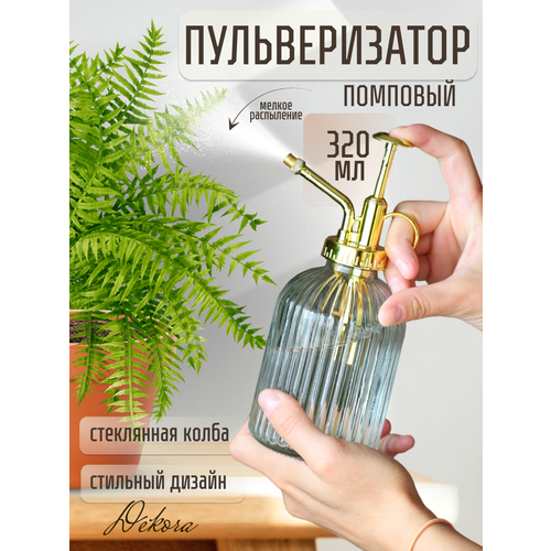 ������ ������ ������������� ��� ���� 