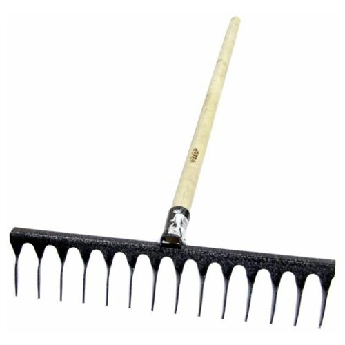 ������ ������ ������ �����, 14 ������, � �������� ����