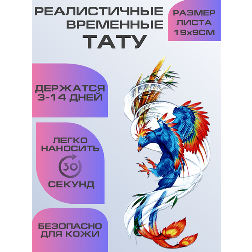 ������ ������ ���� ���������� ��������������, ��������� ���� ����