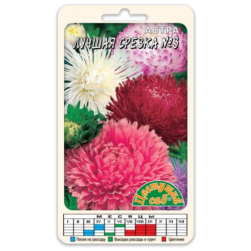 ������ ������ ����� ����� ����� ������ ������ N3 (������ �������� ��� 0,3 �) ����