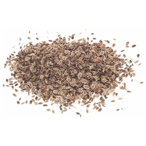 ������ ������ ������ ������ ������� 1 �� ����