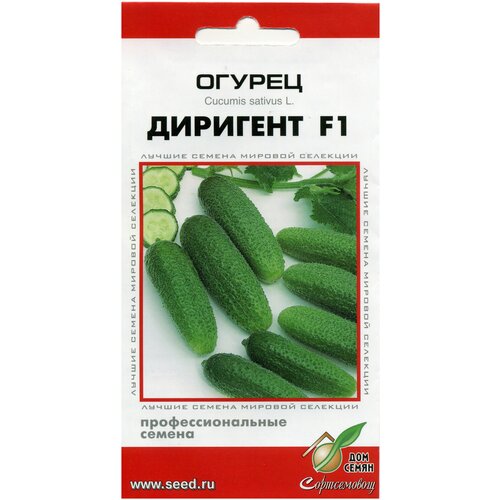 ������ ������ ������ �������� F1, 6 ����� ����