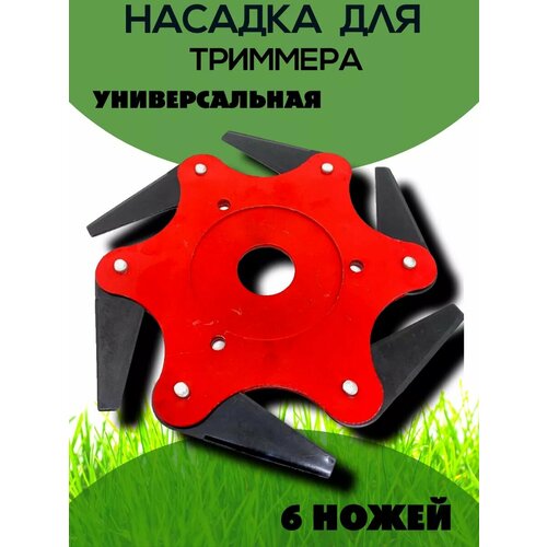 ������ ������ ���� (���, �������) ��� �������� � 6 ������ ������������� ����