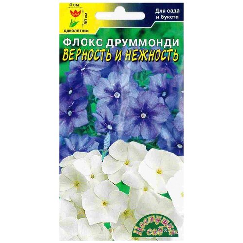 ������ ������ ������ �������� ��� 