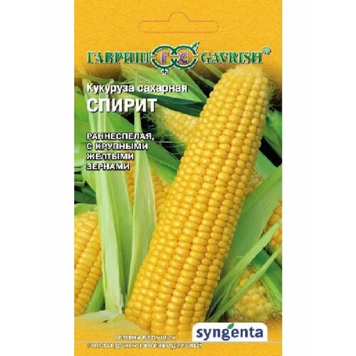 ������ ������ ������ �������� 