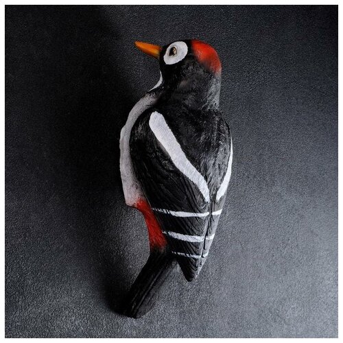 ������ ������ ��������� ����� 