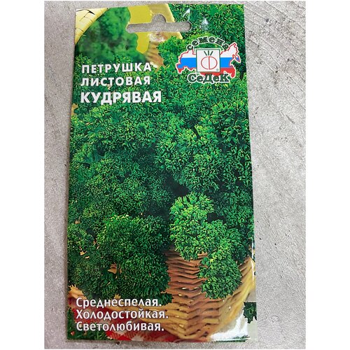 ������ ������ �������� �������� �������� ����