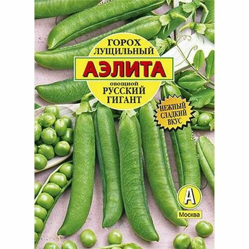 ������ ������ ������ ����� ������� ������ ���������, ������������, (������) �/� 25� ����