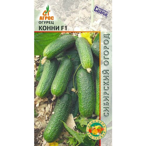 ������ ������ ������ ������ ����� F1 10�� ������������������ ������ (�����) ����