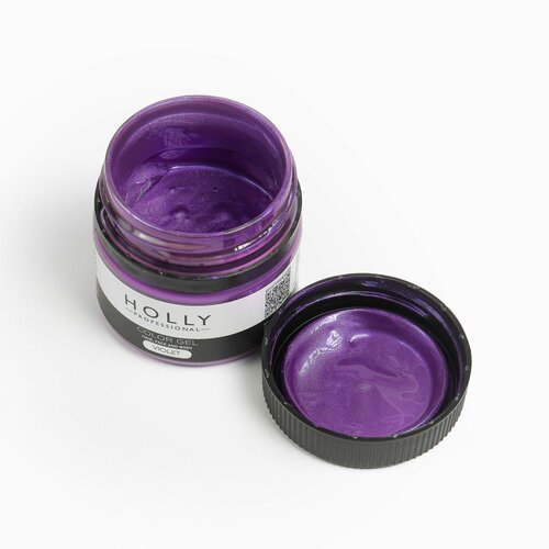  Holly Professional     /   ,    Color Gel Violet   -     , -,   