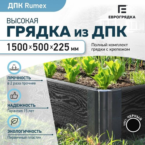 ������ ������ ������ �� ��� 1.5 � x 0.5 �, (����� Rumex: 225�30 ��, ����: ������) ����