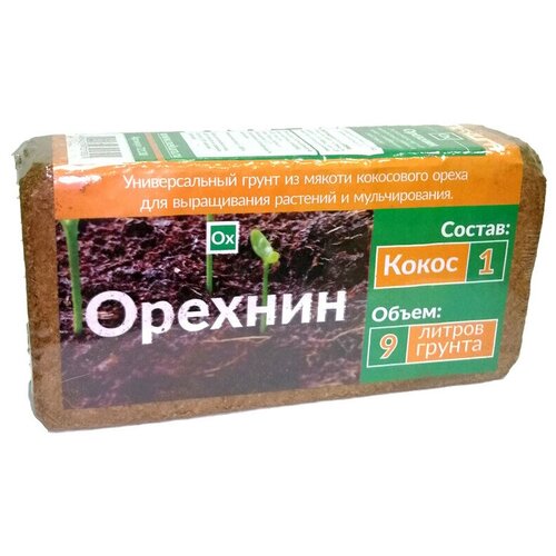 ������ ������ ��������� ��������, ��������� �����, �������-1, ������ 9 �, Nekura, 3 ��. ����