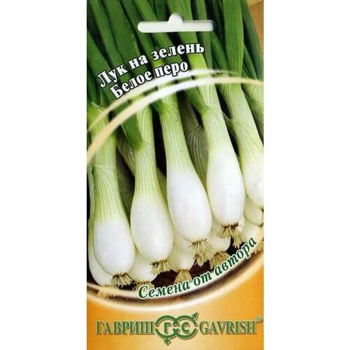 ������ ������ ��� �� ������ 