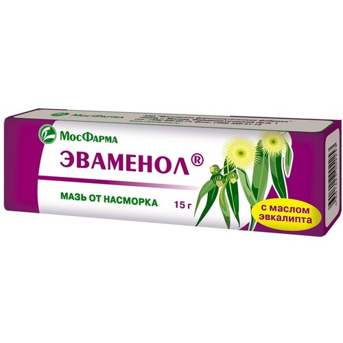 ������ ������ �������� ���� ���., 15 � ����