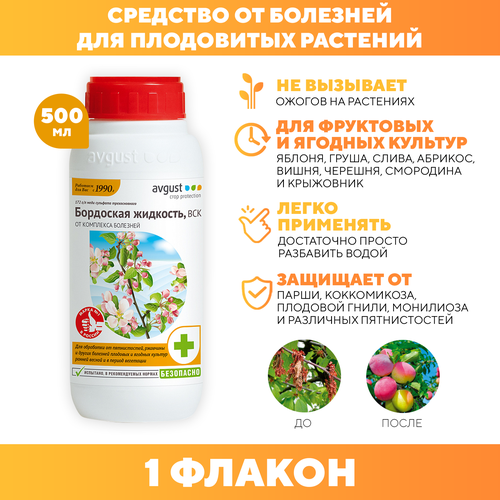 ������ ������ ��������� �������� ��� ������� �������� �� ��������, Avgust 500 �� 1 �� ����