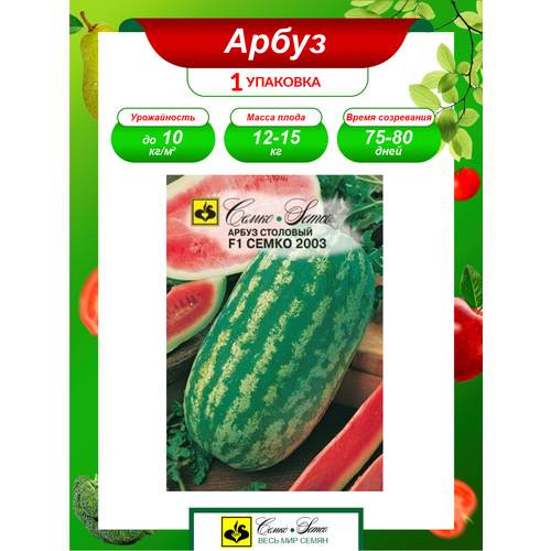 ������ ������ ������ ����� ����� 2003 F1 ������������ 10 ��./��. ����