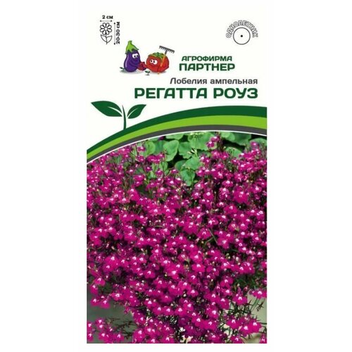 ������ ������ ������ ������� ��������� 