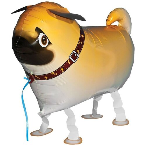 ������ ������ ��������� ������� ���, ������� ������, ���� (24'/61 ��), 1 ��. ����