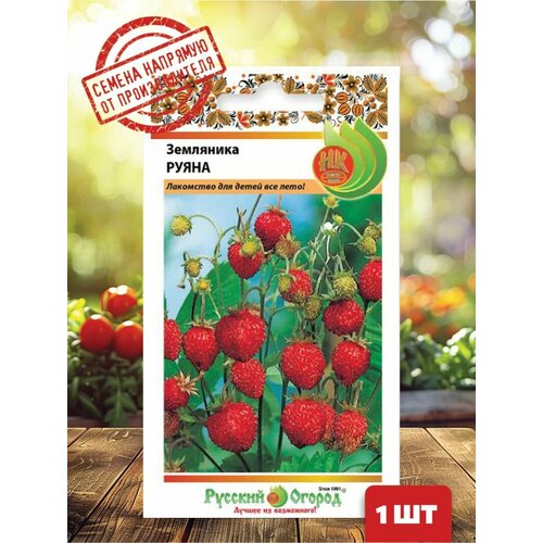 ������ ������ ������ ��������� ����� ����