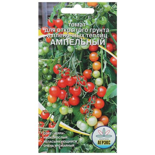 ������ ������ ������ ����� 