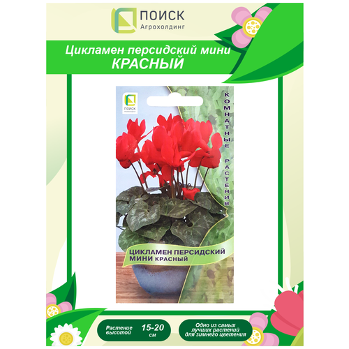 ������ ������ ������ �������� ���������� ���� ������� ��������� 2 ��. ����