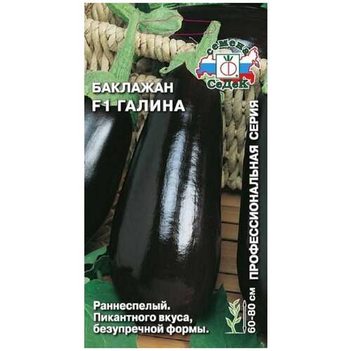 ������ ������ ������ ��������� ������ ����