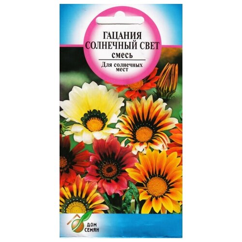 ������ ������ ������� ��������� ����, 25 ����� ����