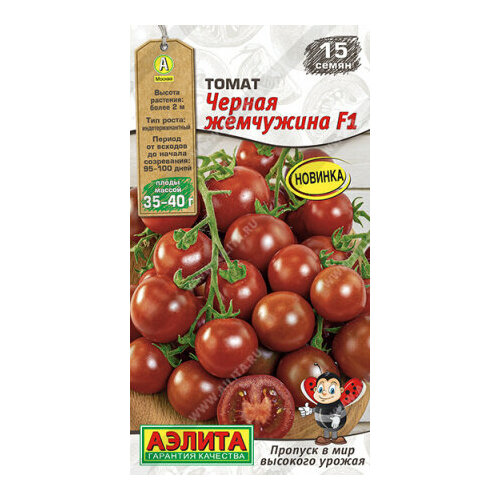 ������ ������ ������ ����� ������ ��������� F1 15�� ����� ������ (������) ����