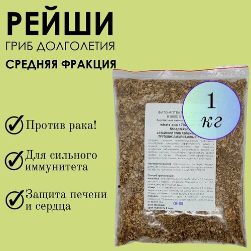 ������ ������ ���� ����� 