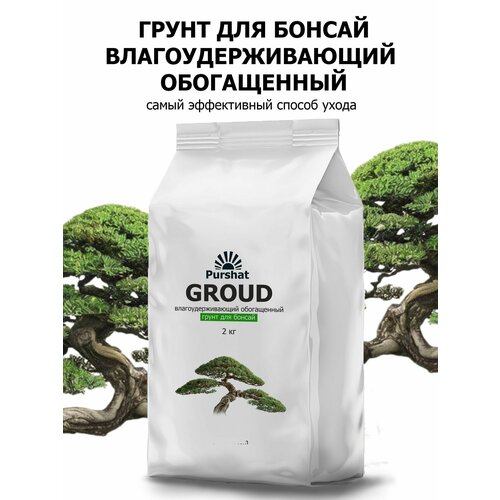 ������ ������ ����� ��� ������ ����������������� ����������� Purshat 2 �� ����