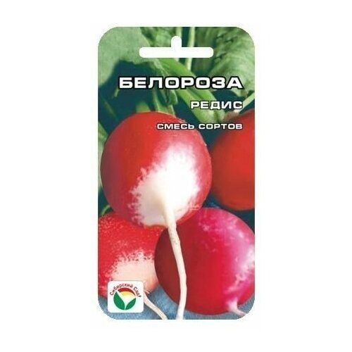 ������ ������ �������� ����� 2�� ����� (��� ���) ����