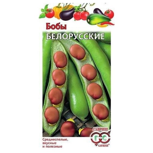 ������ ������ ������. ���� 